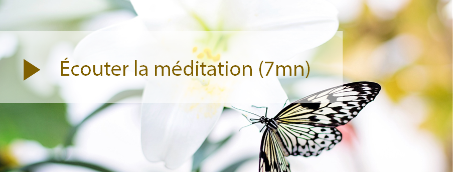 Onglet meditation1